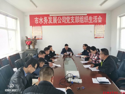 市水務(wù)公司黨支部召開(kāi)2018年度組織生活會(huì )和民主評議黨員會(huì )